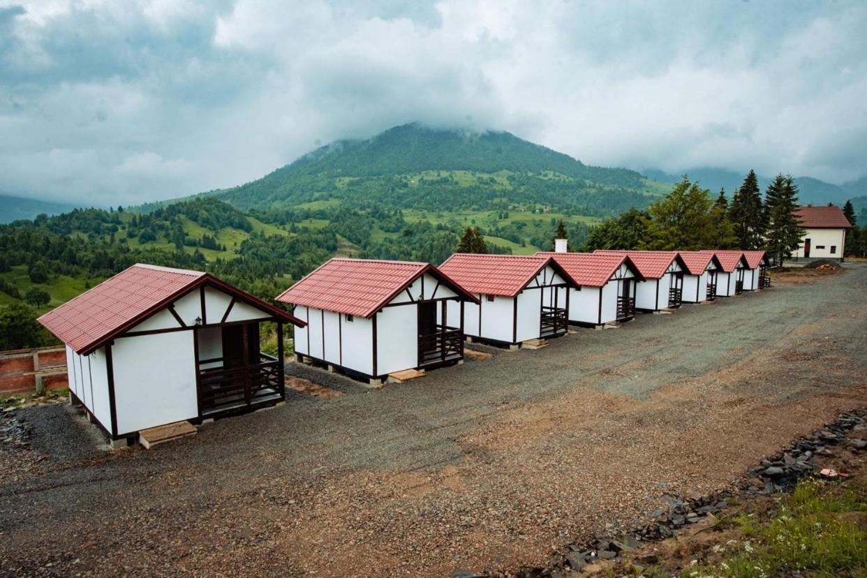 Pensiunea Farmecul Naturii Si Casute Individuale De Inchiriat Colibiţa Εξωτερικό φωτογραφία